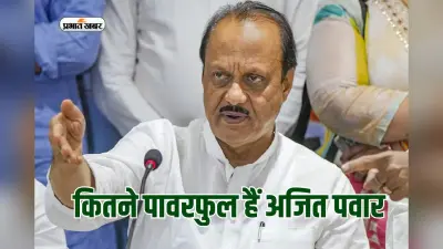 संपत्ति के मामले में कितने पावरफुल हैं अजित पवार? बचत योजनाओं में 10,79 करोड़ का निवेश