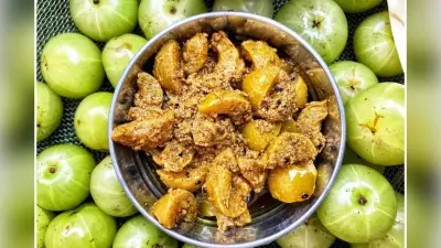 Winter Special Amla Pickle Recipe: ठंड में जरूर बनाएं आंवले का अचार, मिलेंगे कई फायदे