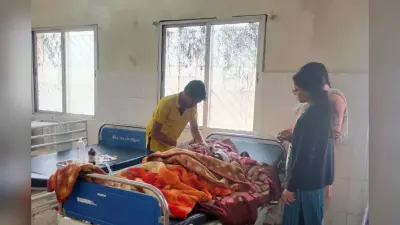 गुमला के जंगल में लकड़ी चुन रही महिला पर भालुओं का हमला, हालत गंभीर, वन विभाग ने दिए 10 हजार रुपए