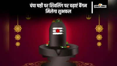 Champa Shashti 2024: चंपा षष्ठी पर शिवलिंग पर चढ़ाएं बैंगन, मिलेगा ये लाभ