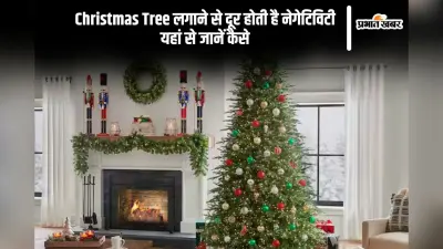 Christmas Tree Vastu Tips: क्रिसमस ट्री लगाने से दूर होता है वास्तु दोष, यहां से जानें
