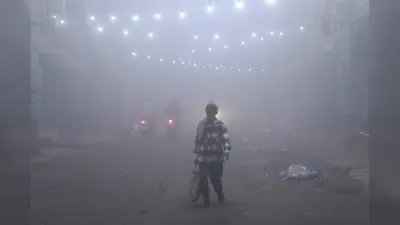 Cold Wave In Rajasthan: राजस्थान में शीतलहर का अलर्ट, माइनस में पहुंचा तापमान, कई इलाकों में जमा देने वाली सर्दी