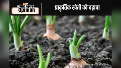 प्राकृतिक खेती को चरणबद्ध तरीके से ही बढ़ावा मिले