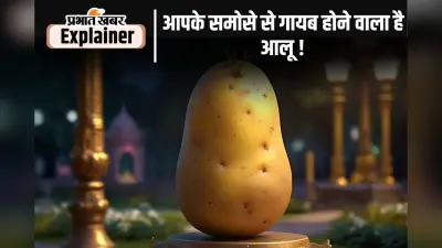 Potato Price : आलू की कीमत 40-50 रुपए प्रति किलो तक पहुंची, बंगाल को क्यों दोषी ठहरा रहे ओडिशा और झारखंड?