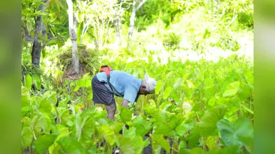 National Farmers Day 2024 : 23 दिसंबर को मनाया जाता है राष्ट्रीय किसान दिवस, यहां जानें कुछ सवालों के जबाब