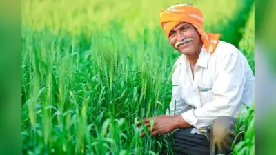 Bihar Farmers News: किसानों के लिए बड़ी खुशखबरी! बिहार में डीएपी की टेंशन हुई दूर