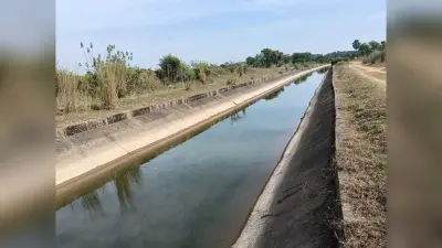 Dumka News: रबी खेती के लिए नहर से छोड़ा गया 50 क्यूसेक पानी