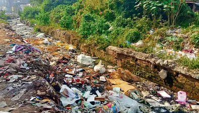 Chhapra News : सिंगल यूज पॉलीथिन पर बैन के बाद भी धड़ल्ले से हो रहा उपयोग