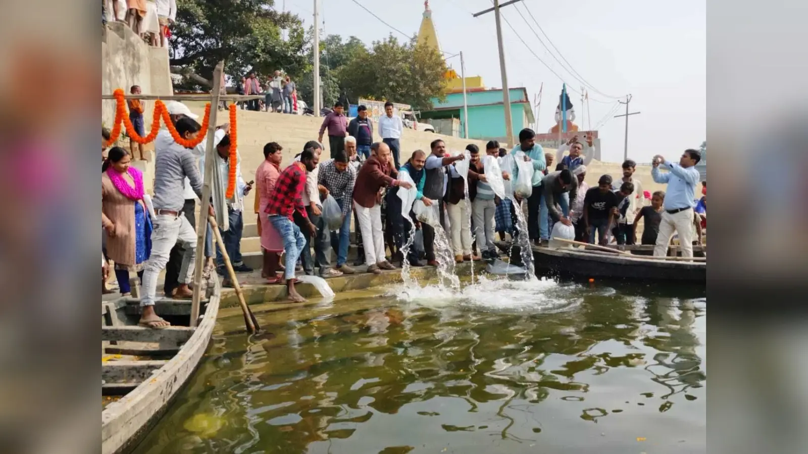 Darbhanga News: त्रिमुहानी घाट में विभाग ने छोड़ी 3.80 लाख छोटी मछलियां