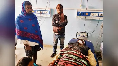 सड़क हादसे में बाइक सवार तीन दोस्त जख्मी