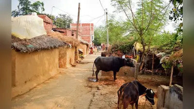 Buxar News : दूसरे दिन भी बस्ती में नहीं जले चूल्हे