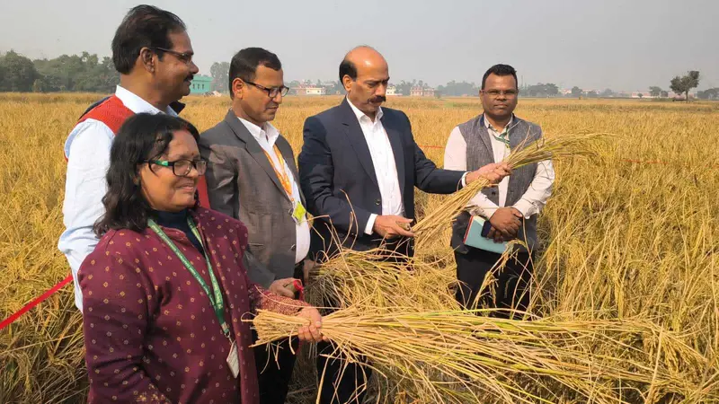 फसल कटनी का प्रधान सचिव ने किया निरीक्षण