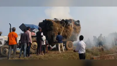 Giridih News: हाइटेंशन तार की चपेट में आने से धान में लगी आग