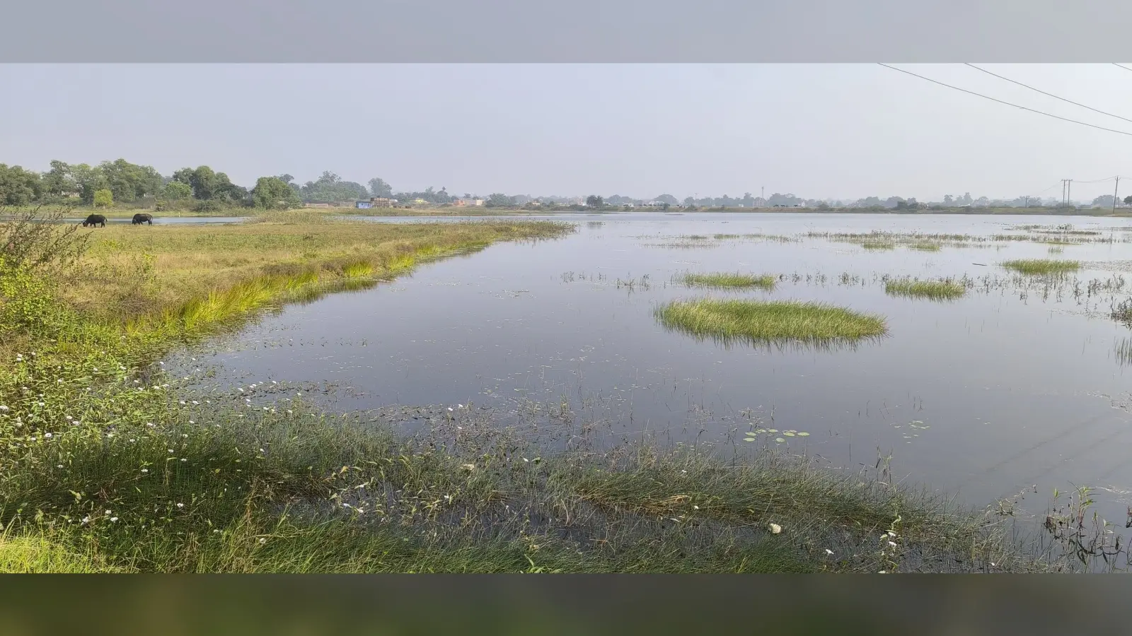 Giridih Tourism: सैलानियों को लुभा रहा है खरियोडीह डैम