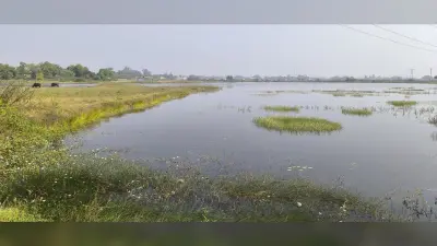Giridih Tourism: सैलानियों को लुभा रहा है खरियोडीह डैम