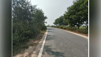 सड़क किनारे उगी झाड़ियां हादसे को दे रही दावत, परेशानी