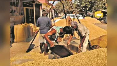 Deoghar news : 31 पैक्सों के लिए पांच मिल को किया गया टैग, 17 पर्यवेक्षक करेंगे निगरानी
