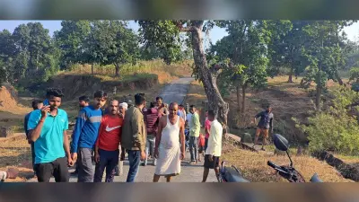 Giridih News: सड़क निर्माण में अनियमितता का आरोप, ग्रामीणों ने रोका कार्य