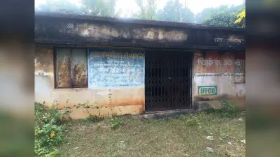 East Singhbhum : धान की बेहतर पैदावार होने से किसान खुश, क्रय केंद्र नहीं खुलने से मायूसी