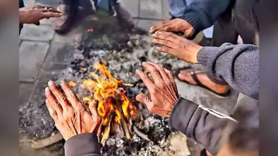 Weather News : पड़ेगी कड़ाके की ठंड, केंद्र ने जारी की एडवाइजरी