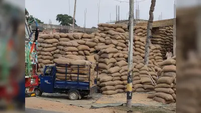 अब तक मात्र 15 सौ एमटी धान की ही हुई है सरकारी खरीद