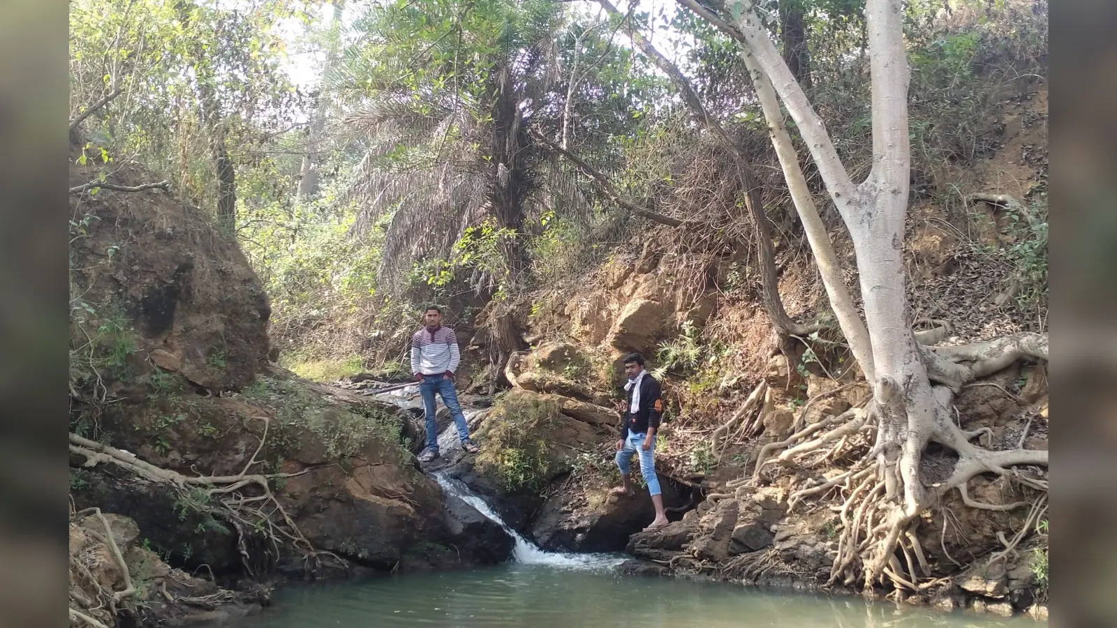 Giridih Tourism: ग्रामीण पर्यटकों को लुभा रही हैं टिकूआ दह की वादियां