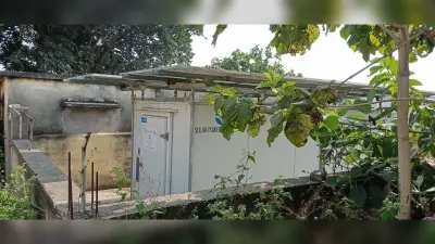 East Singhbhum : घाटशिला अनुमंडल के आधे दर्जन लैंपसों में बने मिनी कोल्ड स्टोर हैंडओवर नहीं होने से बेकार
