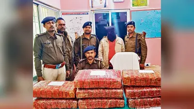 Chhapra News : 55 किलो गांजा के साथ तस्कर गिरफ्तार