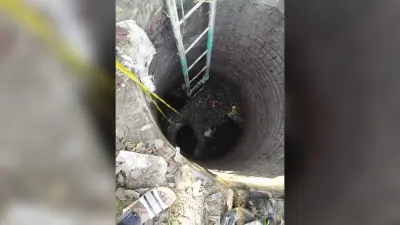 कुआं में गिरा भैंस का बच्चा, लोगों ने निकाला
