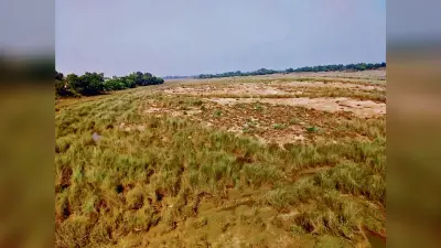 रात के अंधेरे में नदी से बालू का हो रहा अवैध उठाव