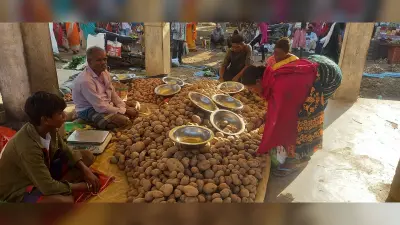 Seraikela News : बंगाल से रोक के बाद यूपी से आ रहा आलू, 40-42 रुपये किलो मिल रहा