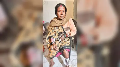 DHANBAD NEWS : सियार के हमले से आधा दर्जन घायल, महिला ने दिखायी हिम्मत, पकड़कर मचाया शोर, ग्रामीणों ने मार डाला