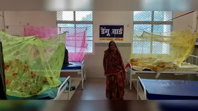 जिले में डेंगू के मिले 24 मरीज, अलर्ट मोड में आया स्वास्थ्य विभाग