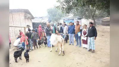 43 वीं किसान संवाद सह पशुचिकित्सा शिविर आयोजित