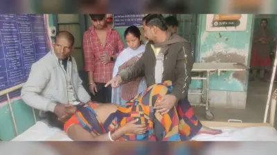 ऑटो पलटने से तीन घायल ,दो रेफर