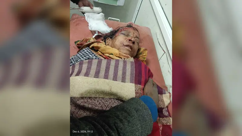 ट्रक की ठोकर से महिला की मौत