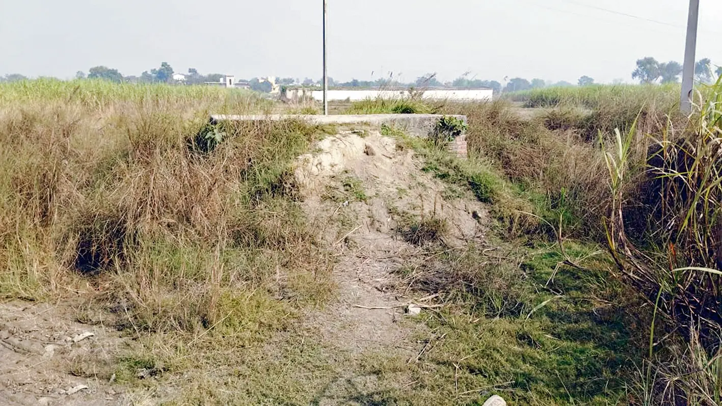 Gopalganj News : 2020 की बाढ़ के बाद से बंद है आवागमन, वजूद खो रही सड़क, पैदल भी गुजरना मुहाल
