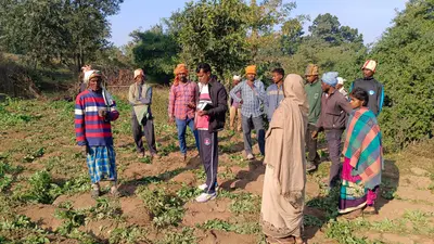Giridih News: हाथियों ने एक एकड़ से अधिक खेतों में लगे फसलों को रौंदा