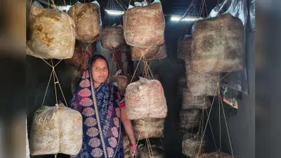 मशरूम की खेती कर वीणा ने बनायी स्वावलंबन की राह