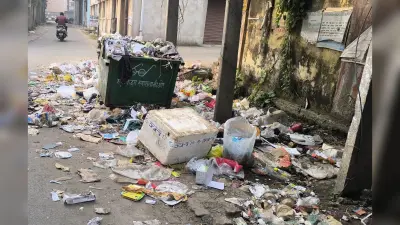 Giridih News :नालों में गंदगी का अंबार, फैल रही है दुर्गंध