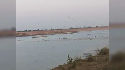 औटा और हाथीदह में जलजमाव से नहीं हो सकी एक हजार बीघे में बुआई