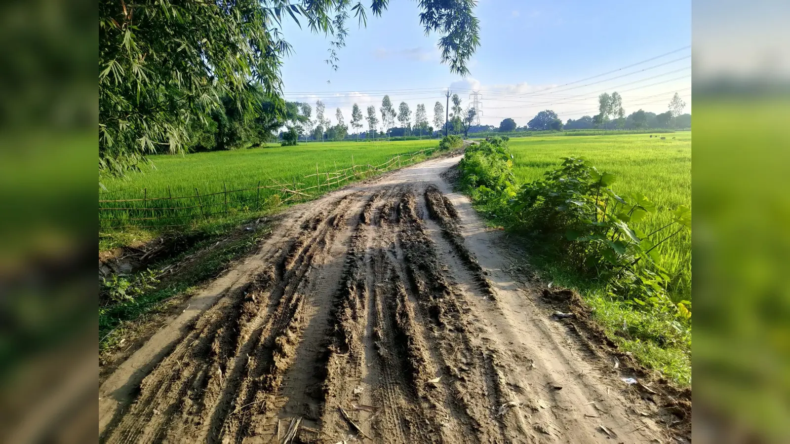 भाटाबस्ती होते अलुआबाड़ी स्टेशन जाने वाली कच्ची सड़क के पक्कीकरण की मांग