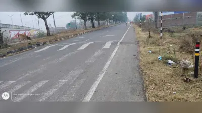 Giridih News :स्पीड ब्रेकर के पास लगायी गयी सफेद पट्टी