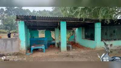 Giridih News: अटका क्षेत्र में नहीं थम रहा हाथियों का आतंक, 15 किसानों की फसल रौंदी