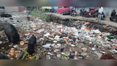 शहर में स्वच्छता ग्रेड नहीं, सिर्फ नाम के हो रहे काम