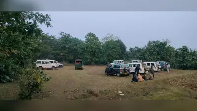 East Singhbhum : गुड़ाबांदा से नदी पार कर चाकुलिया के नया ग्राम जंगल में घुसी बाघिन, हर घंटे बदल रही जगह, ग्रामीणों को किया गया सावधान