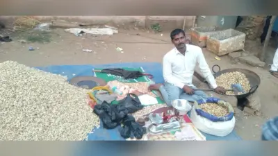 सर्दी के मौसम में बढ़ा मूंगफली का क्रेज, बिक्री बढ़ी