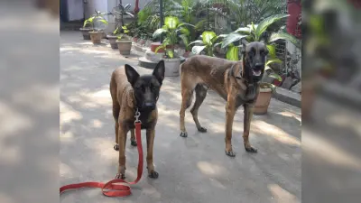 Dhanbad News:आरपीएफ को मिला स्निफर ब्रूनो व ट्रैकर डेजी