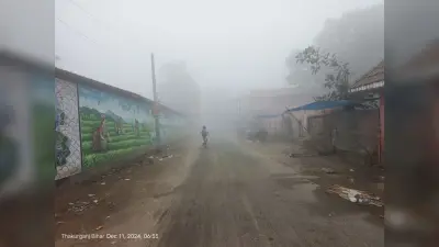 कोहरे का कहर जारी, तापमान 12 डिग्री सेल्सियस तक पहुंचा