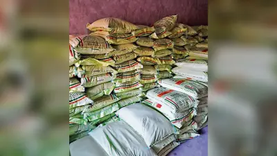 siwan news : महंगे दाम पर उर्वरक ले रहे किसान, निगरानी के लिए नामित अफसरों को चिंता नहीं
